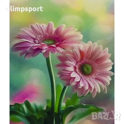 Диамантен пъзел мозайка с размери 30х20 см. 27016806, снимка 1