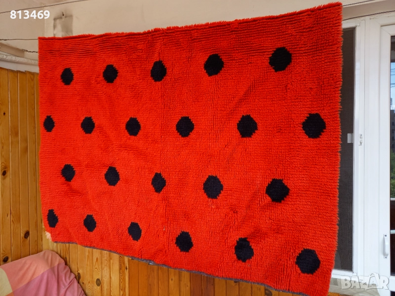 Китеник оцветяване калинка, снимка 1