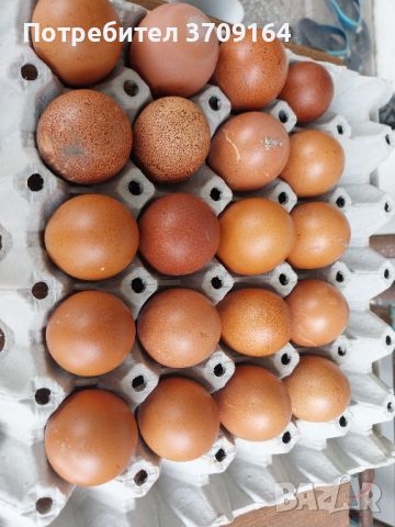 Яйца от Маран, снимка 1 - други­ - 45099732