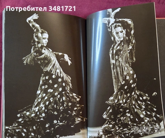Carmen's Dance. A Fantasy Of Spanish Flamenco, снимка 10 - Енциклопедии, справочници - 53519866
