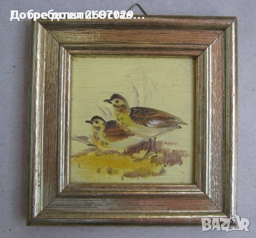 Картини:  Картина морски пейзаж,  с рамка, елени, пейзаж, хижа, 4 броя с диви птици, снимка 18 - Картини - 31809447