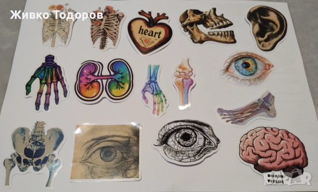 Stickers/Лепенки ''ЧЕТВЪРТОТО КРИЛО/Fourth Wing'' - Цитати и емблеми (за 10 бр), снимка 12 - Други - 44701716