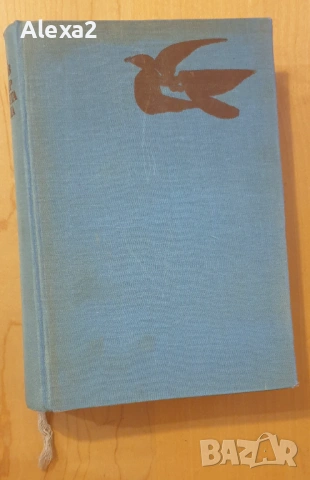 " Подир синята птица "