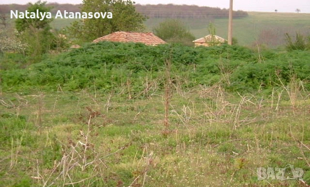 Парцел за продажба в Бенковски