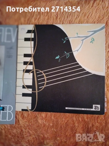 Класическа музика плочи , снимка 7 - Грамофонни плочи - 50475995