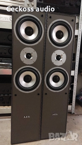 🔥 ТОП ОФЕРТА 🔥
Тонколони AEG LB 4711 – 120€, снимка 2 - Тонколони - 54192586