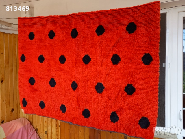 Китеник оцветяване калинка