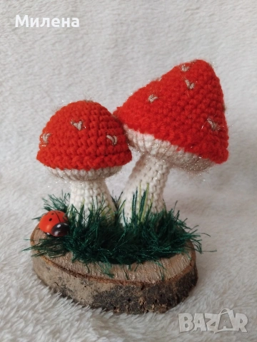 Плетена гъбка върху пънче