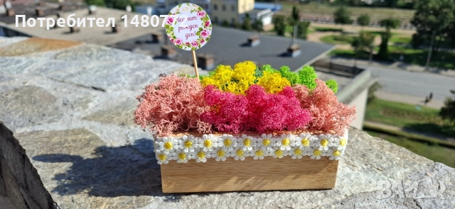 Малка бамбукова кашпа, снимка 6 - Декорация за дома - 51470258