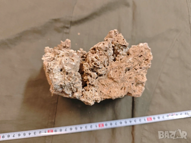 стар корал, снимка 8 - Други ценни предмети - 53748378