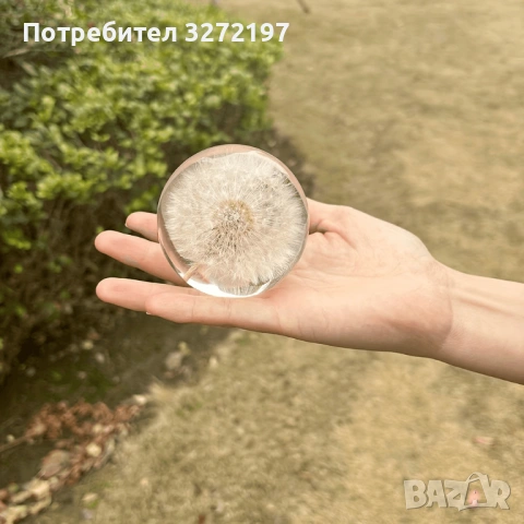 FUFIZU Кристална топка-глухарче, снимка 9 - Декорация за дома - 54090656