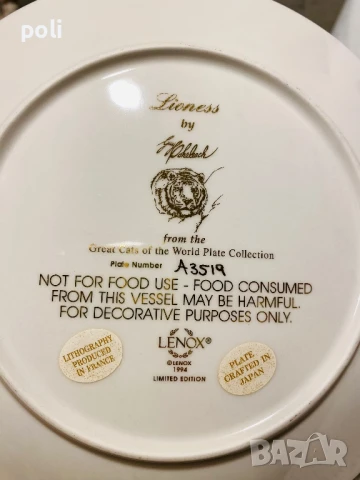 порцеланова чиния за стена 7 , снимка 3 - Декорация за дома - 51183964