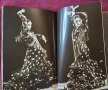 Carmen's Dance. A Fantasy Of Spanish Flamenco, снимка 10