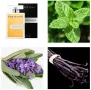 Yodeyma WOW SCENT 50мл. Мъжки парфюм!, снимка 10