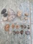 Лот стари камъни Фосили, снимка 1 - Колекции - 45417560