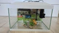 Аквариум Aquael Leddy 40, напълно оборудван + подарък камъчета и миди, снимка 5