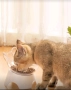 Купичка хранилка за коте котки куче кучета домашни животни пластамасова на стойка, снимка 3