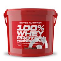 Суроватъчен протеин изолат SCITEC 100% Whey Protein Professional 5кг, снимка 1 - Хранителни добавки - 44959472