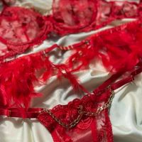 Комплект дамско бельо от пет части с пера в червено, снимка 2 - Бельо - 45846596