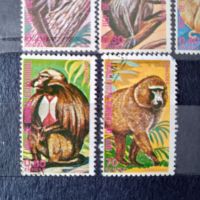 1975 г. Маймуни. Екваториална Гвинея., снимка 4 - Филателия - 45509435