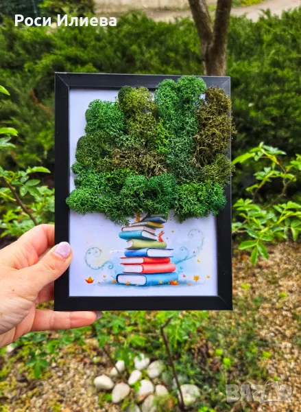 Картина "С любов към Знанието" декорирана с естествен скандинавски мъх, снимка 1
