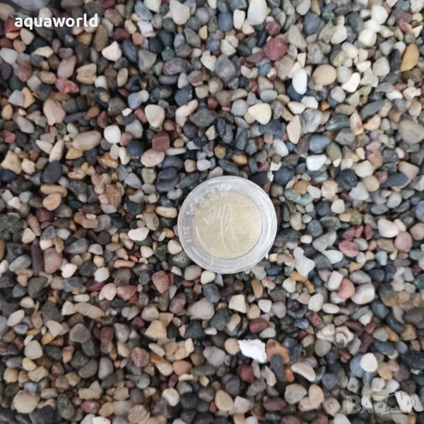 "ПРОМОЦИЯ" Грунд разноцветен камък ситен 5мм, снимка 1