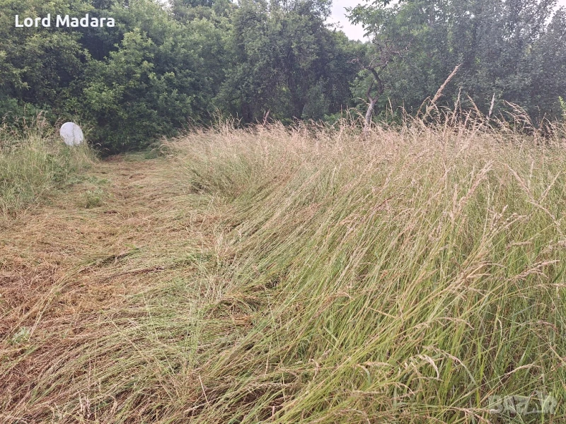 Косене и рязане на дърва за Кюстендил и селата, снимка 1