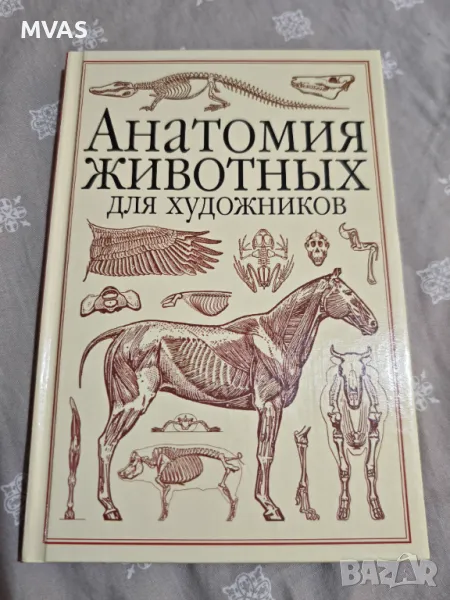 Нова анатомия на животни за художници Рисуване на животни, снимка 1