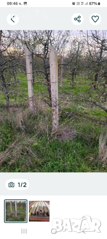 Продавам циментови колове от изоставени лозя, снимка 2 - Огради и мрежи - 52933598