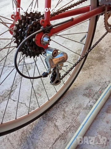 Шосеен бегач 