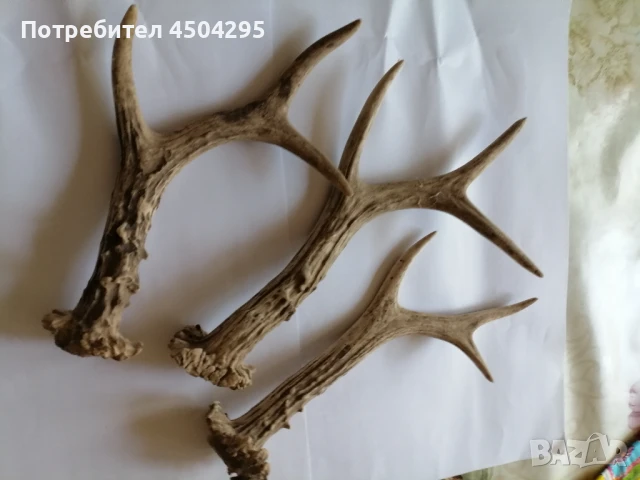 Старовремски предмети , снимка 2 - Антикварни и старинни предмети - 51119090