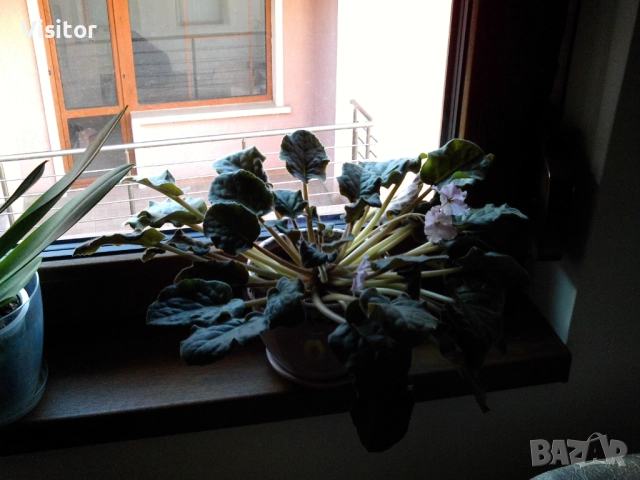 фотоапарат MAGINON Splash 8    8MPx, снимка 13 - Фотоапарати - 52953703