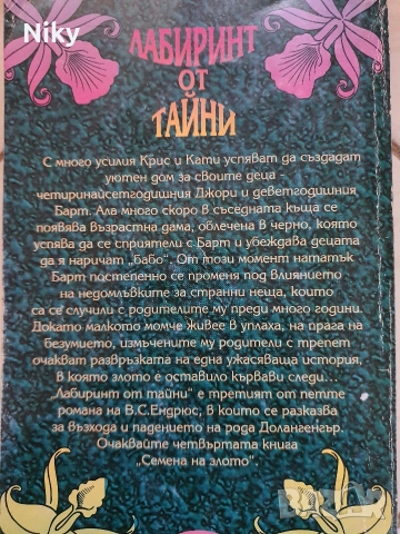 Лабиринт от тайни-В.С.Ендрюс , снимка 2 - Художествена литература - 52884214