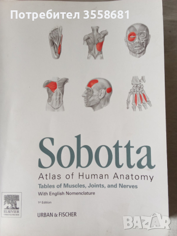 Sootta Head, Neck and Neuroanatomy, снимка 2 - Специализирана литература - 45035107
