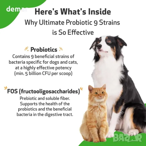 Pet Wellbeing Ultimate Probiotic 9 щама за кучета и котки - Здравословно храносмилане, 320 гр, прах, снимка 5 - За кучета - 48238100