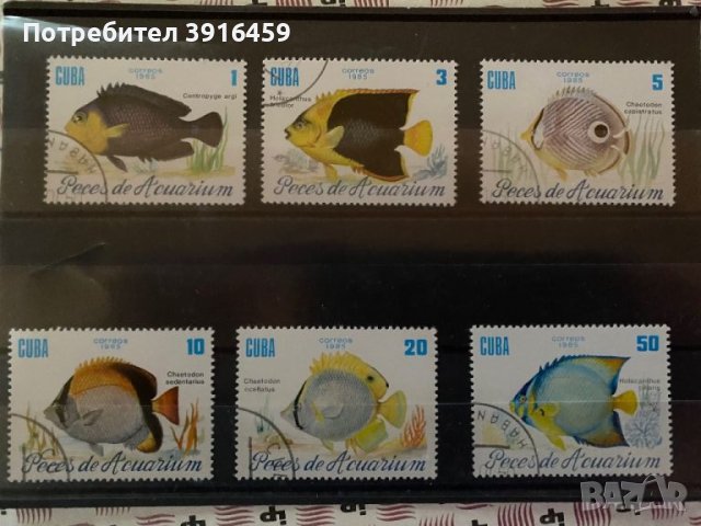 Куба, Декоративни Риби - пълна серия, снимка 1 - Филателия - 45999264