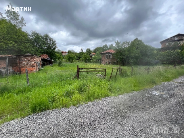 Косене на тревни площи и рязане на дърва и дървета, снимка 7 - Други услуги - 53969267