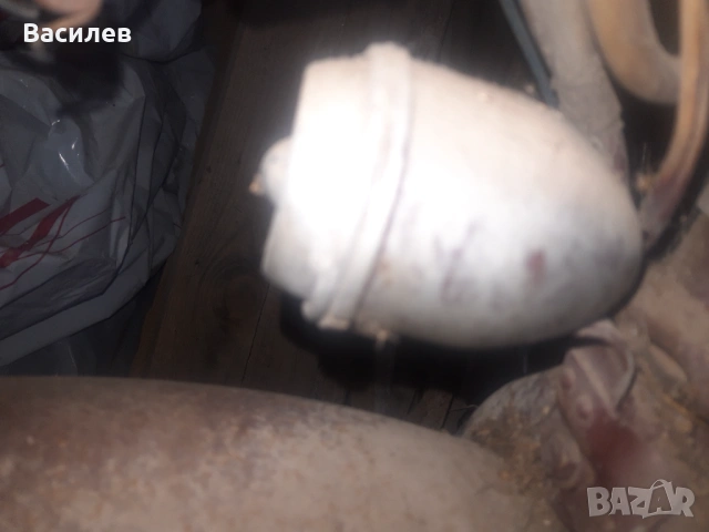  Симсон ср 2,клаксон,стойка за фар., снимка 3 - Мотоциклети и мототехника - 34747491