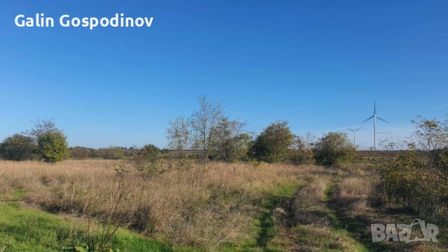 Нива 1 дка с. Горун на 200м от международен път Варна - Дуранкулак., снимка 7 - Земеделска земя - 52297804