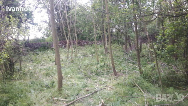 Дворно място 1000кв.м. на 6км.от плажа Крапец - за жилищно строителство , снимка 3 - Парцели - 54004654