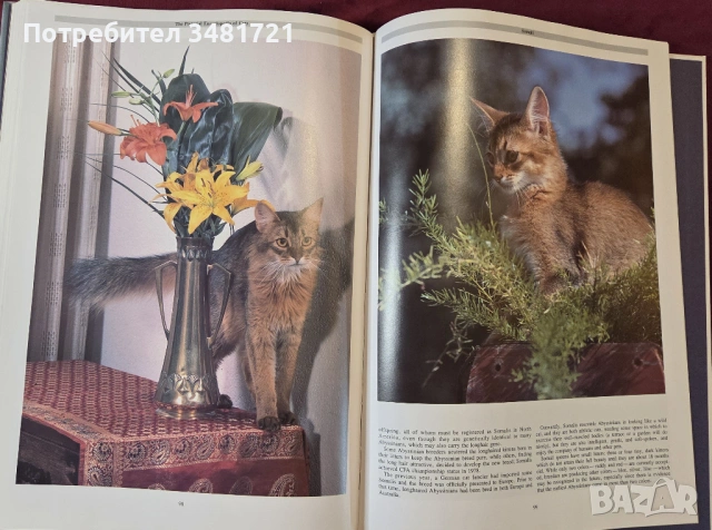 Енциклопедия на котките / The Encyclopedia of Cats, снимка 11 - Енциклопедии, справочници - 53748624