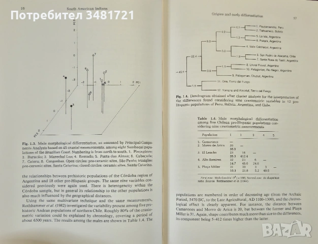 Еволюция на южноамериканските индианци / South American Indians. A Case Study in Evolution, снимка 8 - Художествена литература - 53883350