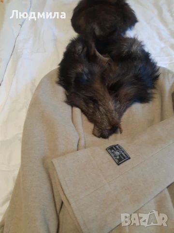 Шапка и яка от лисица естествен косъм, снимка 2 - Шапки - 50961827