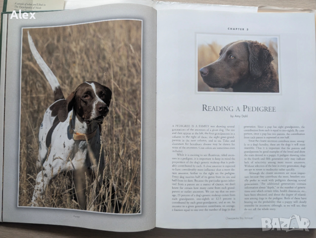 The Encyclopedia of North American Sporting Dogs, снимка 8 - Енциклопедии, справочници - 53518573