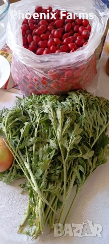 Шипки, Билков пчелен Мед, Боров прашец, коприва, пелин, снимка 13 - Домашни продукти - 50332840