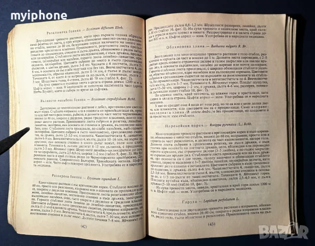 Стара Книга Разпознаване и Събиране на Билки / Борис Китанов, снимка 5 - Специализирана литература - 49528287