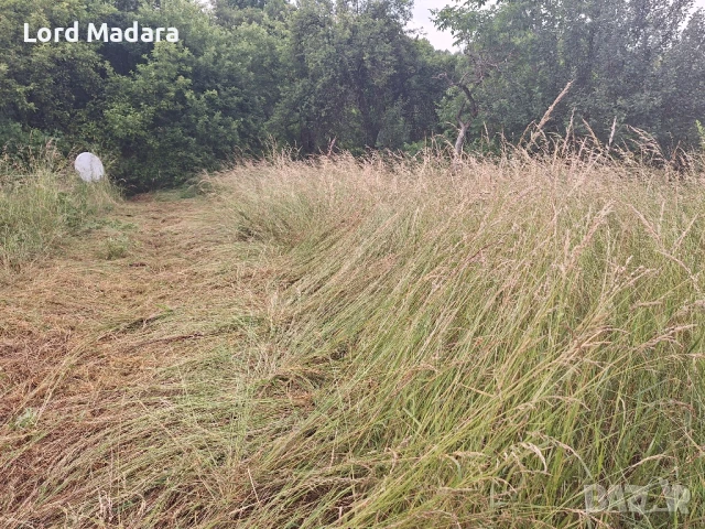 Косене и рязане на дърва за Кюстендил и селата