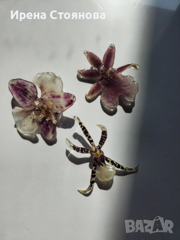 Брошки с естествен цвят на орхидея. 