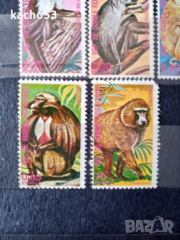 1975 г. Маймуни. Екваториална Гвинея., снимка 4 - Филателия - 45509435