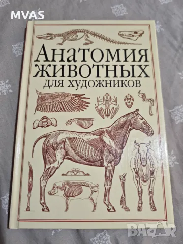 Нова анатомия на животни за художници Рисуване на животни